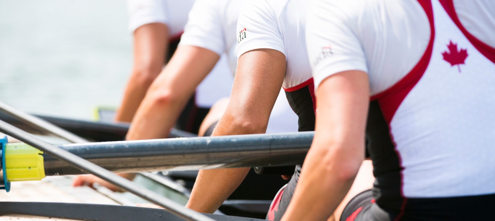 Annonce des nouveaux membres du conseil d’administration de Rowing Canada Aviron